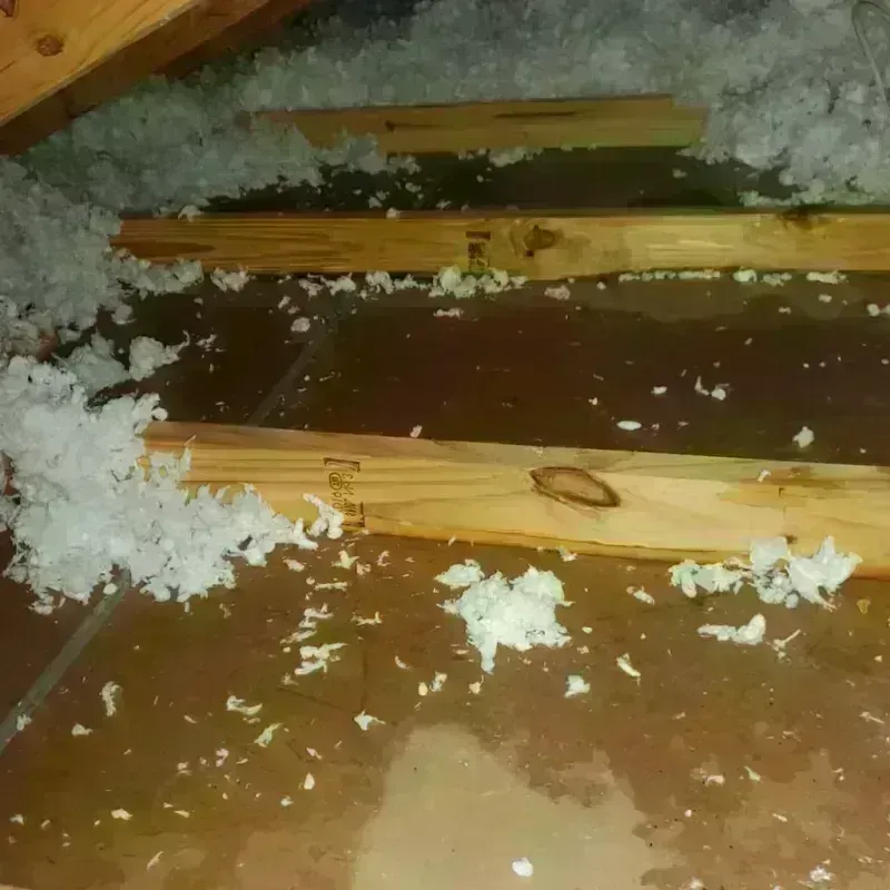 Attic Water Damage in Mulino, OR